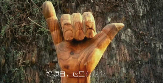 除了吃饭睡觉,这六个项目企图承包你的日常